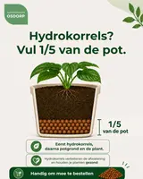 Capi nature groove nl conisch vaas 45x41 cm zwart - afbeelding 2
