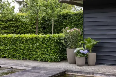 Capi nature groove nl elegant laag vaas 34x46 cm warme taupe - afbeelding 6