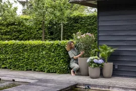 Capi nature groove nl elegant laag vaas 34x46 cm warme taupe - afbeelding 7