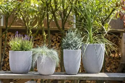 Capi nature groove nl elegant laag vaas 46x58 cm ivoor - afbeelding 3