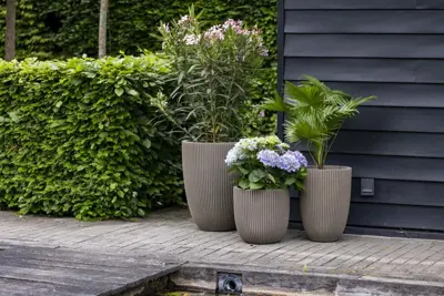 Capi nature groove nl elegant laag vaas 46x58 cm warme taupe - afbeelding 2