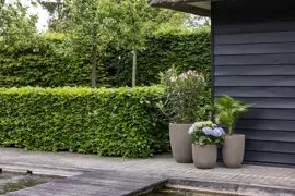 Capi nature groove nl elegant laag vaas 46x58 cm warme taupe - afbeelding 3