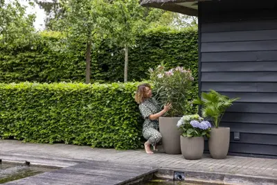 Capi nature groove nl elegant laag vaas 46x58 cm warme taupe - afbeelding 4