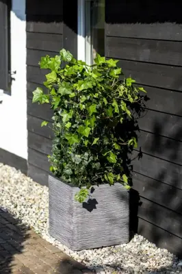Capi nature rib nl kunststof plantenbak 30x30x30 cm antraciet - afbeelding 3