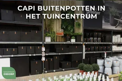 Capi nature rib nl kunststof plantenbak 50x50x50 cm antraciet - afbeelding 3