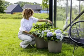 Capi urban bol smooth nl kunststof bloempot 35x34 cm warme taupe - afbeelding 8