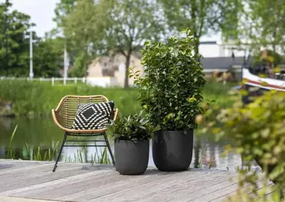 Capi urban bol smooth nl kunststof bloempot 54x52 cm zwart - afbeelding 3