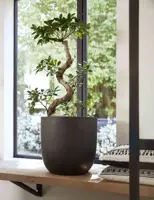 Capi urban smooth nl bloempot egg 35x34 cm zwart - afbeelding 3