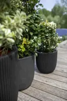 Capi urban smooth nl bloempot egg 54x52 cm zwart - afbeelding 4