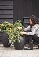 Capi vaas elegant deluxe rib nl kunststof bloempot 40x60 cm zwart - afbeelding 2