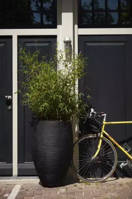 Capi vaas elegant deluxe rib nl kunststof bloempot 56x85 cm zwart - afbeelding 3