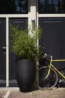 Capi vaas elegant deluxe rib nl kunststof bloempot 56x85 cm zwart - afbeelding 3