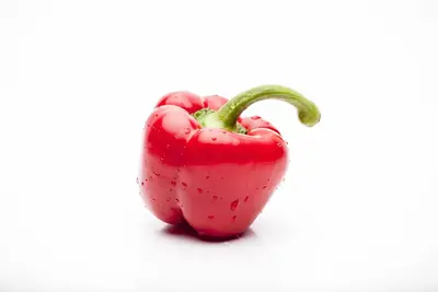 Capsicum annuum (Peper) - afbeelding 60