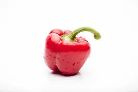 Capsicum annuum (Peper) - afbeelding 60