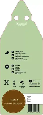 Carex Morrowii Ice Dance (Zegge) - afbeelding 2