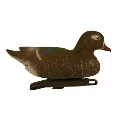 Carolina eend (vr) - vijverdecoratie - afbeelding 1