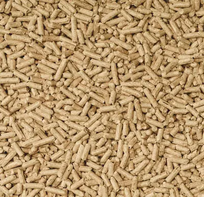 Cat’s Best Nature Gold – Klonterende Eco-Kattenbakvulling 20 L (10 kg) - afbeelding 4