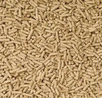 Cat’s Best Nature Gold – Klonterende Eco-Kattenbakvulling 20 L (10 kg) - afbeelding 4