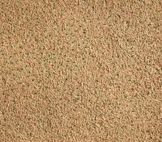 Cat's Best Sensitive – Antibacteriële Houtkorrels 20 L - afbeelding 5