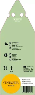 Centaurea Montana (Korenbloem) - afbeelding 2