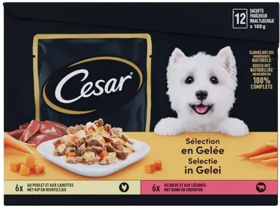 Cesar Pouch Adult gelei 100g 12st