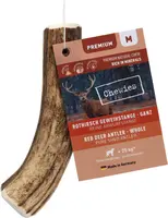 Chewies edelhertengewei heel M kopen?