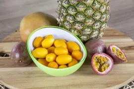 Citrus japonica (Chinese kumquat) - afbeelding 2