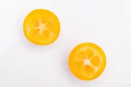 Citrus japonica (Chinese kumquat) - afbeelding 25