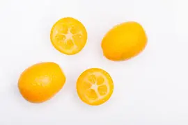 Citrus japonica (Chinese kumquat) - afbeelding 6