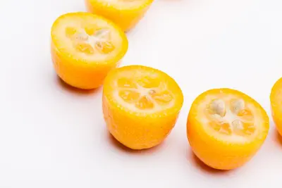 Citrus japonica (Chinese kumquat) - afbeelding 22