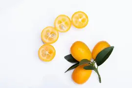 Citrus japonica (Chinese kumquat) - afbeelding 29