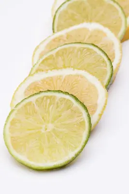 Citrus limon, Pyramide (Citroenboom) - afbeelding 23