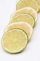 Citrus limon, Pyramide (Citroenboom) - afbeelding 23
