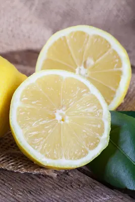 Citrus limon, Pyramide (Citroenboom) - afbeelding 27