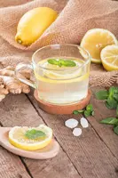 Citrus limon, Pyramide (Citroenboom) - afbeelding 38