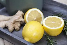 Citrus limon, Pyramide (Citroenboom) - afbeelding 2