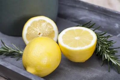 Citrus limon, Pyramide (Citroenboom) - afbeelding 3