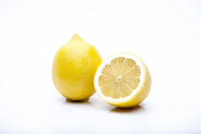 Citrus limon, Pyramide (Citroenboom) - afbeelding 13