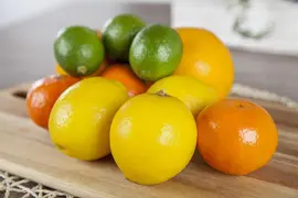 Citrus limon, Pyramide (Citroenboom) - afbeelding 15