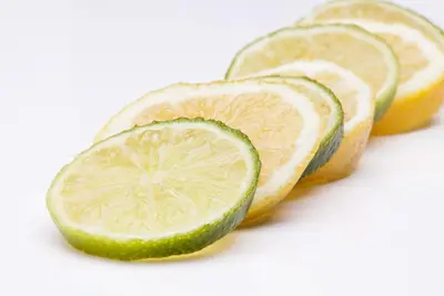 Citrus limon, Pyramide (Citroenboom) - afbeelding 22