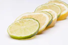 Citrus limon, Pyramide (Citroenboom) - afbeelding 22