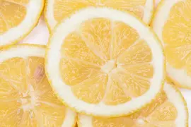 Citrus limon, Pyramide (Citroenboom) - afbeelding 24