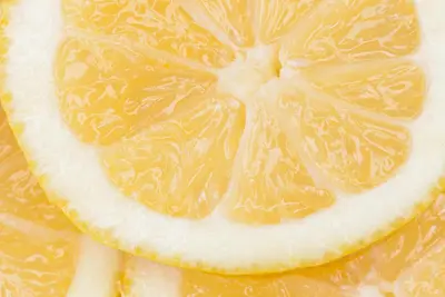 Citrus limon, Pyramide (Citroenboom) - afbeelding 25