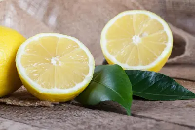 Citrus limon, Pyramide (Citroenboom) - afbeelding 29