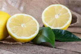 Citrus limon, Pyramide (Citroenboom) - afbeelding 29