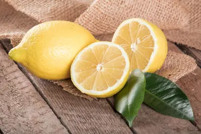 Citrus limon, Pyramide (Citroenboom) - afbeelding 36