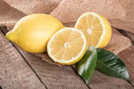 Citrus limon, Pyramide (Citroenboom) - afbeelding 36