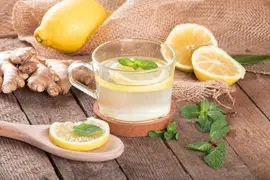 Citrus limon, Pyramide (Citroenboom) - afbeelding 37