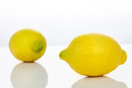 Citrus limon, Pyramide (Citroenboom) - afbeelding 39