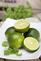 Citrus x aurantifolia (Citroenboom) - afbeelding 3